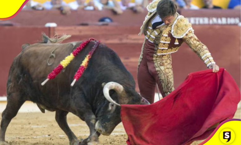 Congreso aprueba regulación de corridas de toros sin violencia en CDMX