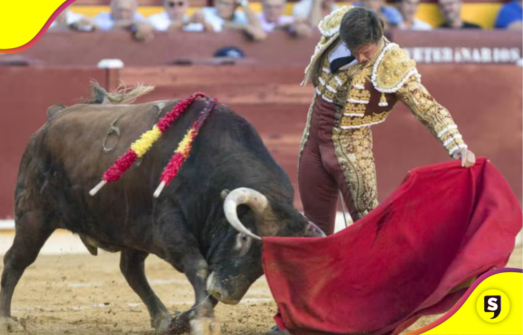 Congreso aprueba regulación de corridas de toros sin violencia en CDMX