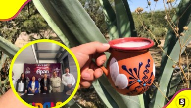 ¿Amas el pulquecito? Lánzate a la Feria del Maguey, el Pulque la Cebada en Apan.