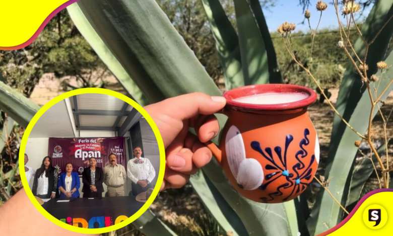 ¿Amas el pulquecito? Lánzate a la Feria del Maguey, el Pulque la Cebada en Apan.