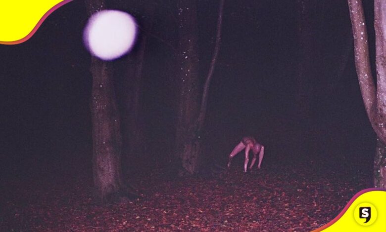 Perros skinwalkers