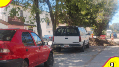 Autoridades de Tulancingo retirarán 10 árboles en Jardines del Sur por daños a viviendas.