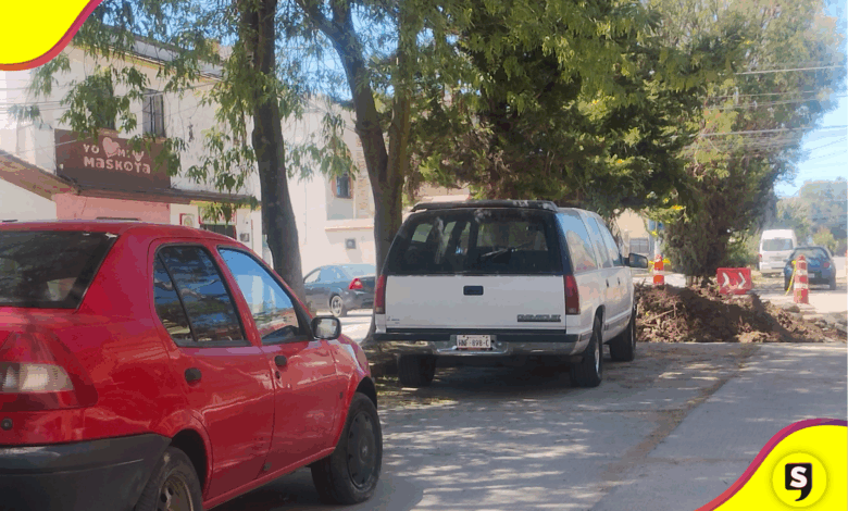 Autoridades de Tulancingo retirarán 10 árboles en Jardines del Sur por daños a viviendas.