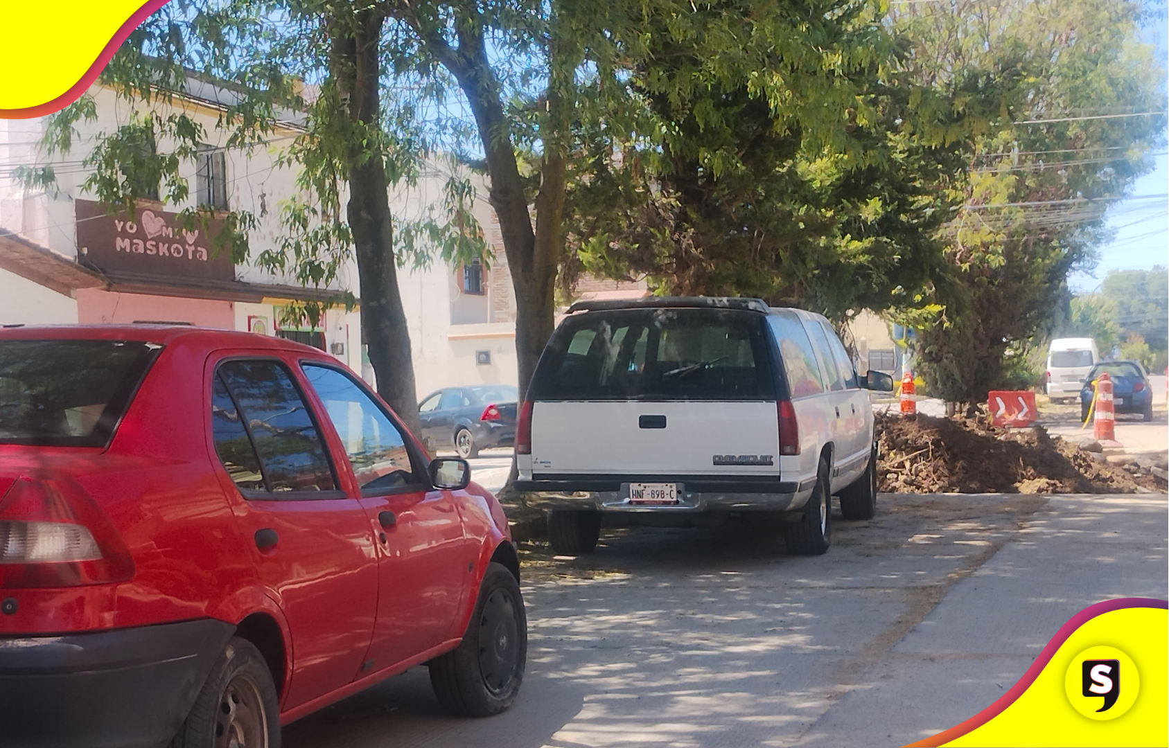 Autoridades de Tulancingo retirarán 10 árboles en Jardines del Sur por daños a viviendas.