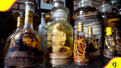bebidas alcohólicas