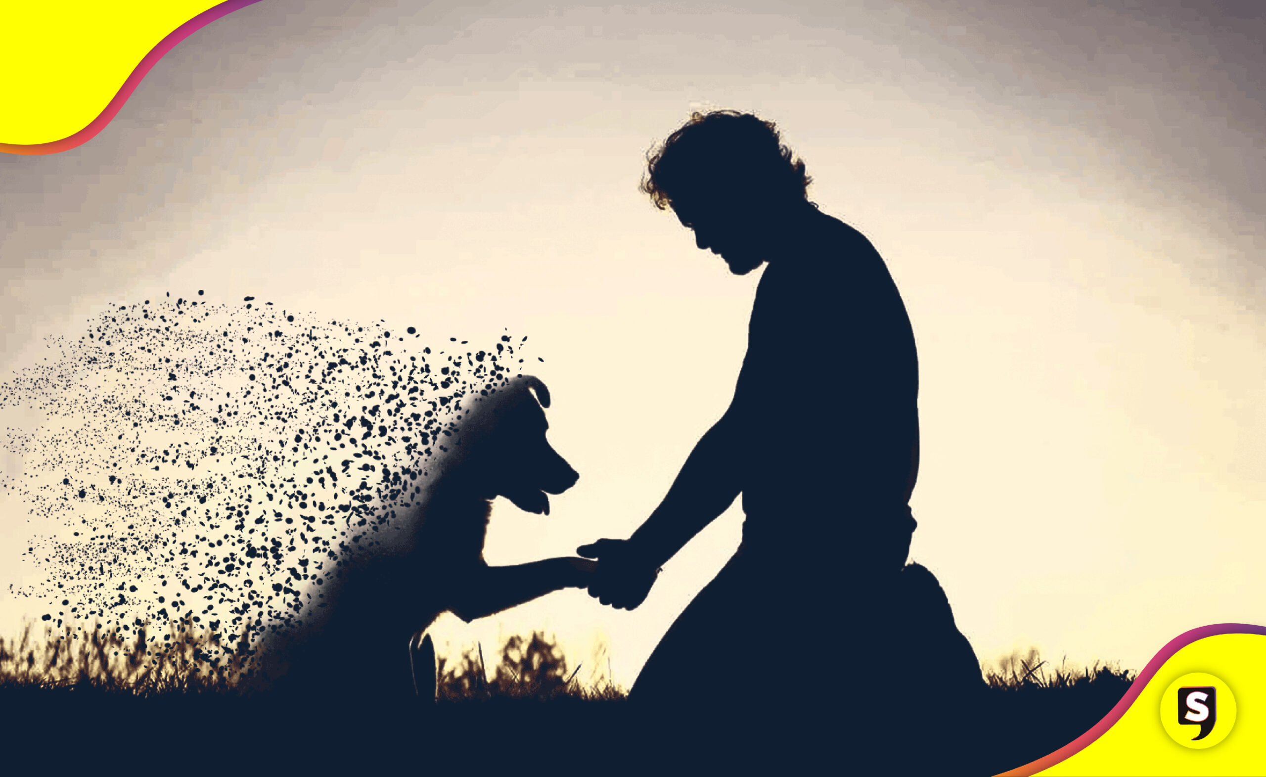 perrito Consejos duelo