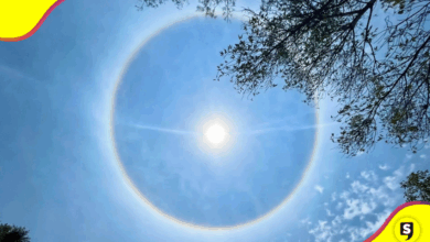 Halo solar
