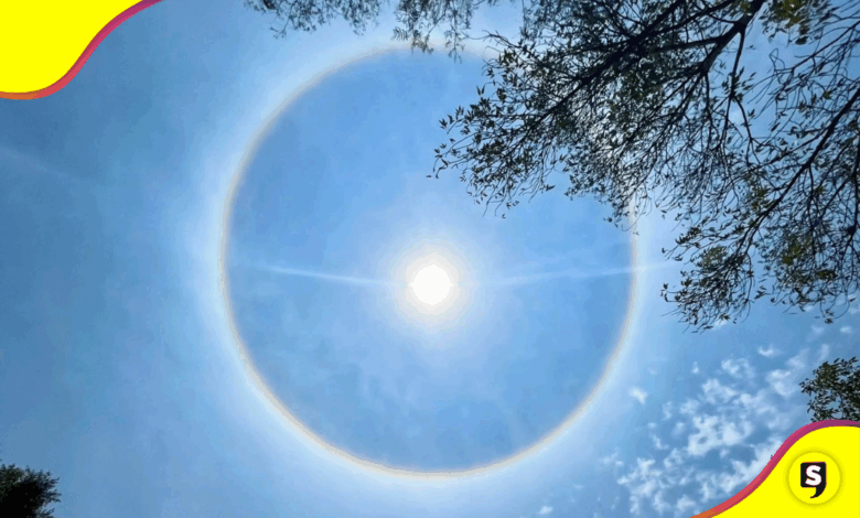 Halo solar