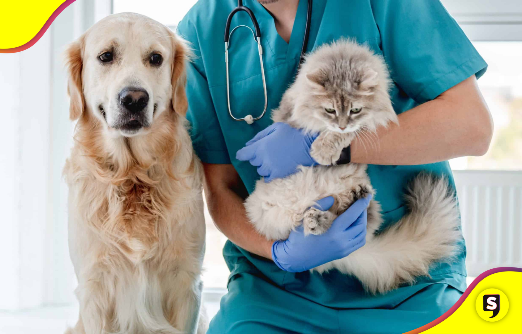 Jornadas de esterilización en Tulancingo continúan todo mayo
