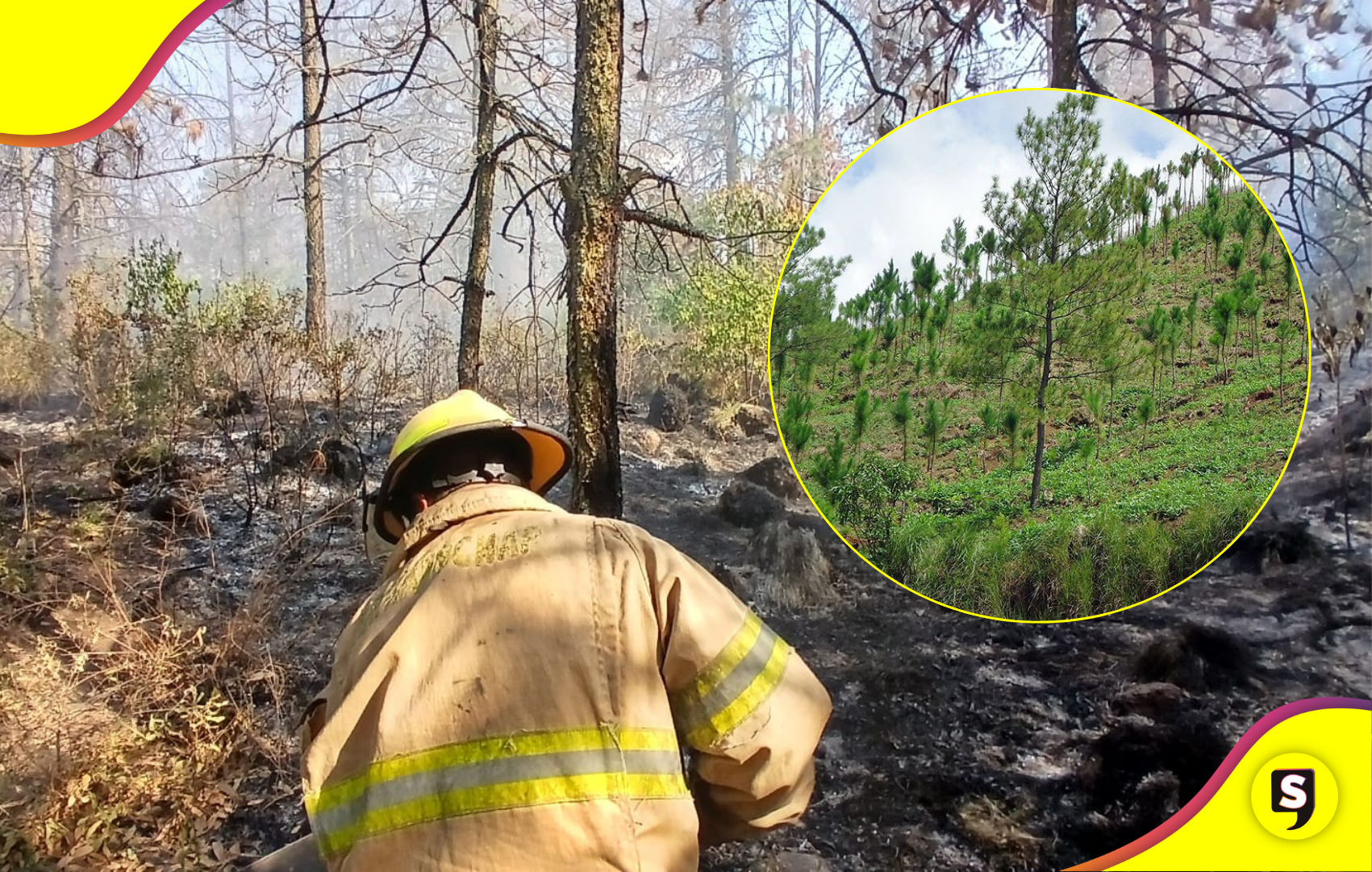 Bomberos controlan incendio forestal en Santiago Tulantepec