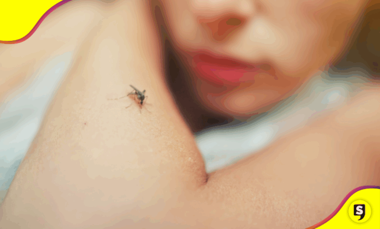 mosquitos