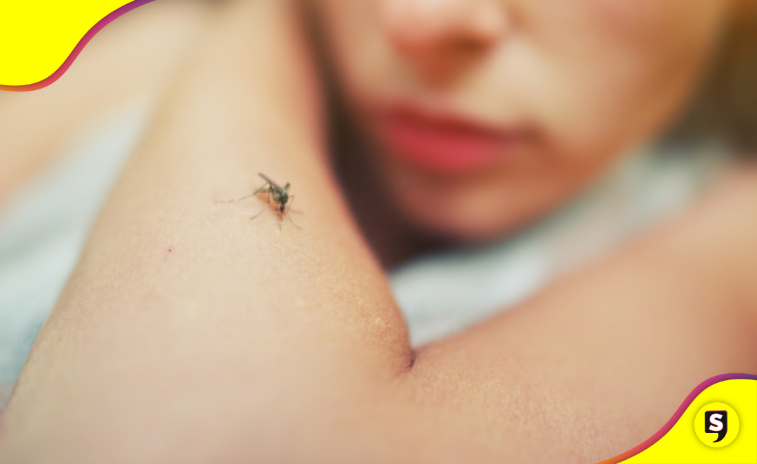 mosquitos
