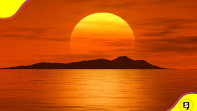 raro Sol