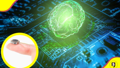 Connexus chip cerebral