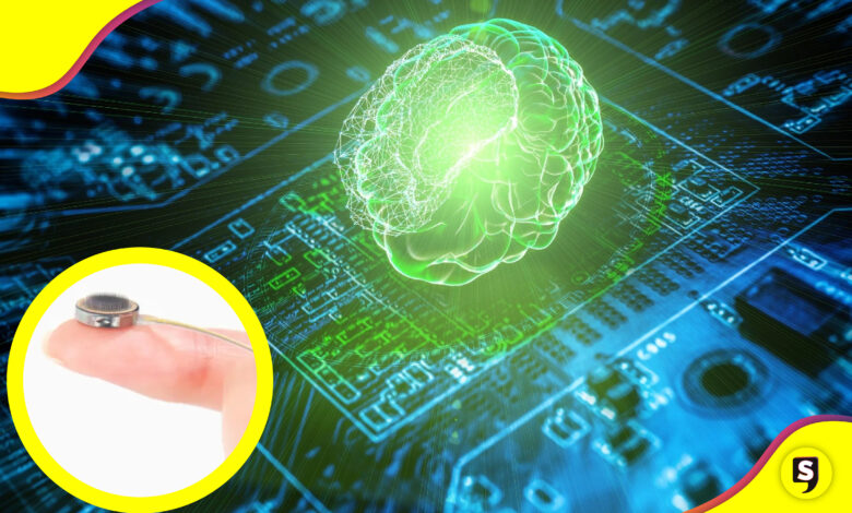 Connexus chip cerebral