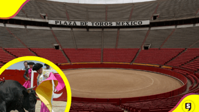 Prohibición taurina en CDMX: Plaza de Toros cancela eventos