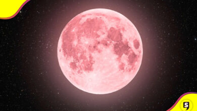Luna de Fresa 2025