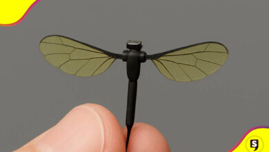Minidron mosquito China
