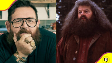 Nick Frost Hagrid