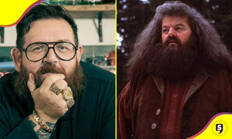 Nick Frost Hagrid