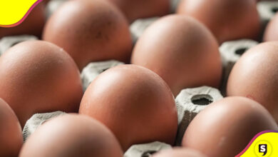 salmonela huevos EU