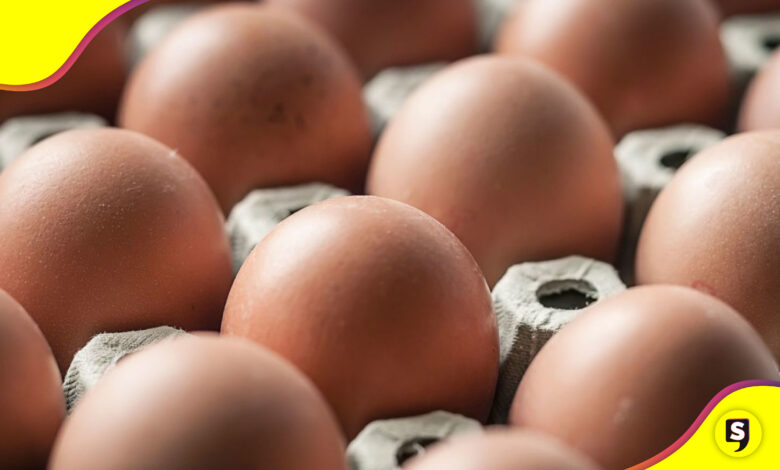 salmonela huevos EU