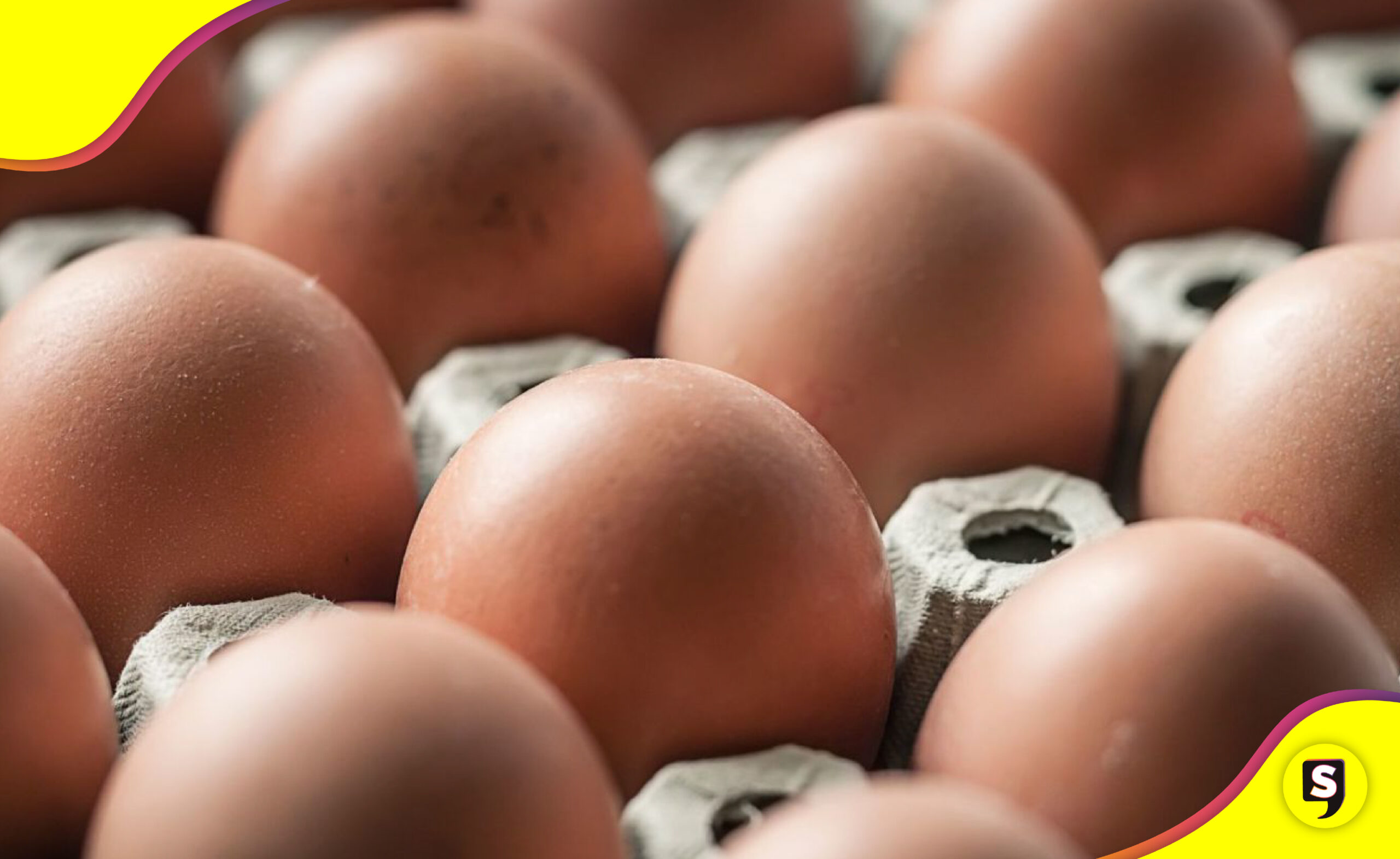 salmonela huevos EU