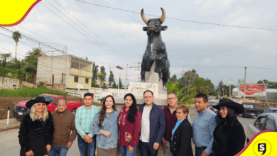 Critican estatua de toro por maltrato animal en Santiago Tulantepec