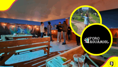 5º aniversario del Foro Aguamiel: arte, maguey y tradición