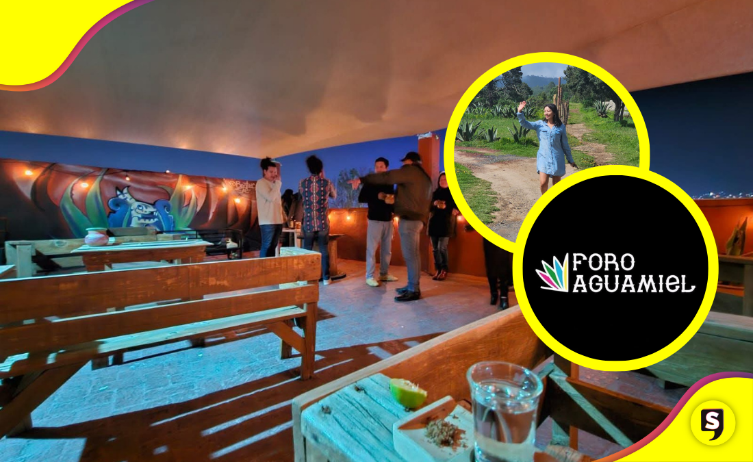 5º aniversario del Foro Aguamiel: arte, maguey y tradición