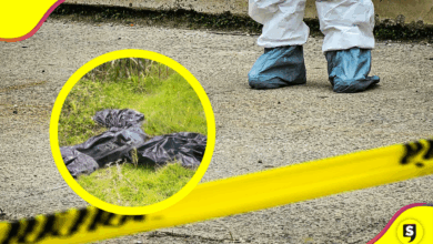 Restos humanos en bolsas aparecen en Singuilucan