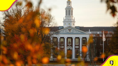 Harvard oficinas de diversidad
