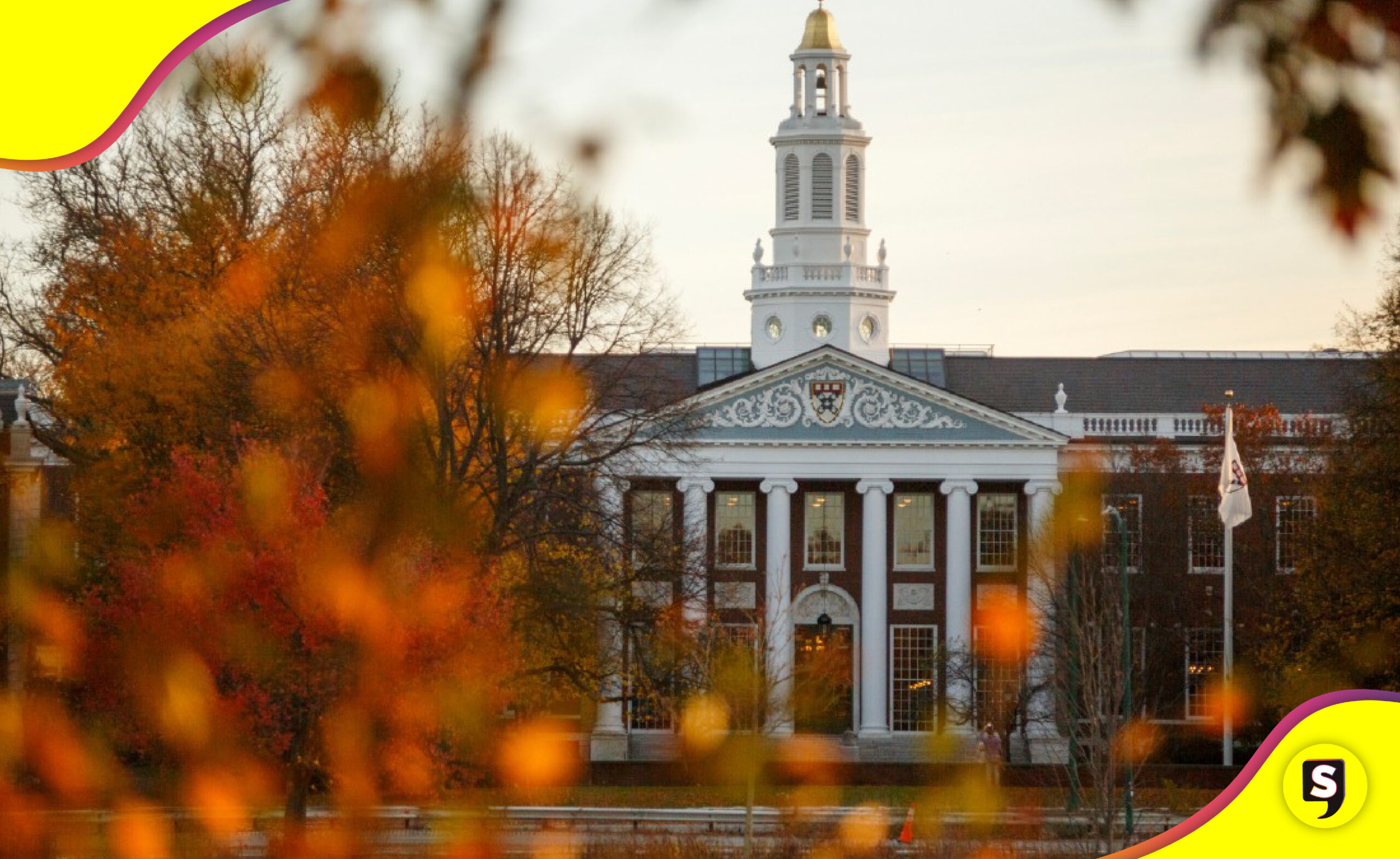 Harvard oficinas de diversidad