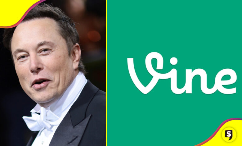 Vine Elon Musk