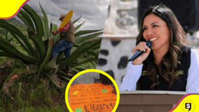 Singuilucan: Comuneros rechazan megaproyecto fotovoltaico