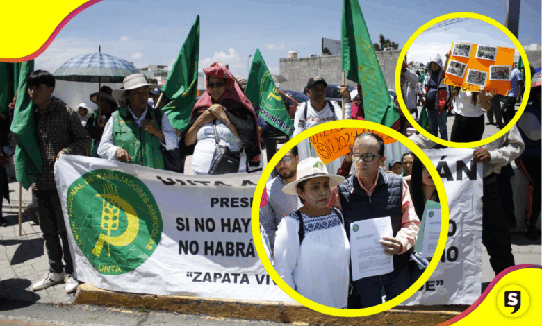 Campesinos acusan despojo de tierras y daño ambiental en Hidalgo
