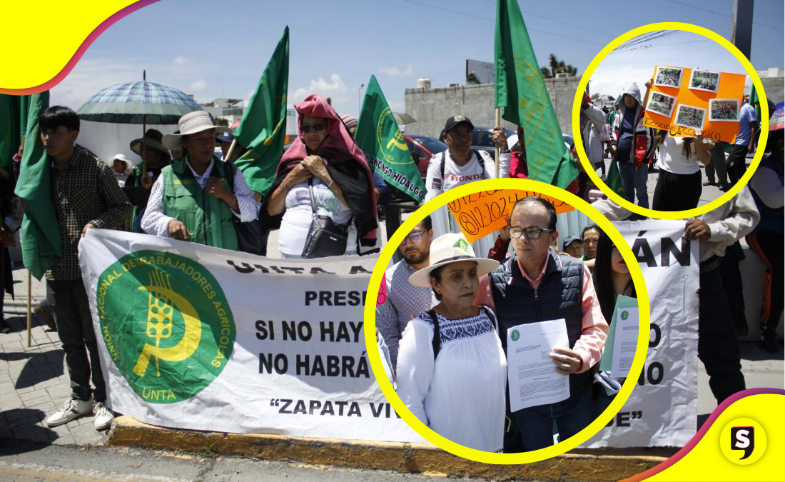 Campesinos acusan despojo de tierras y daño ambiental en Hidalgo