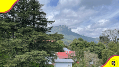 Leyenda de "Las Monjas" en Mineral del Chico: Pueblo Mágico entre rocas y bosques.