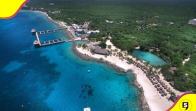 Cozumel selva virgen