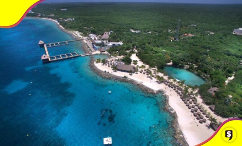 Cozumel selva virgen