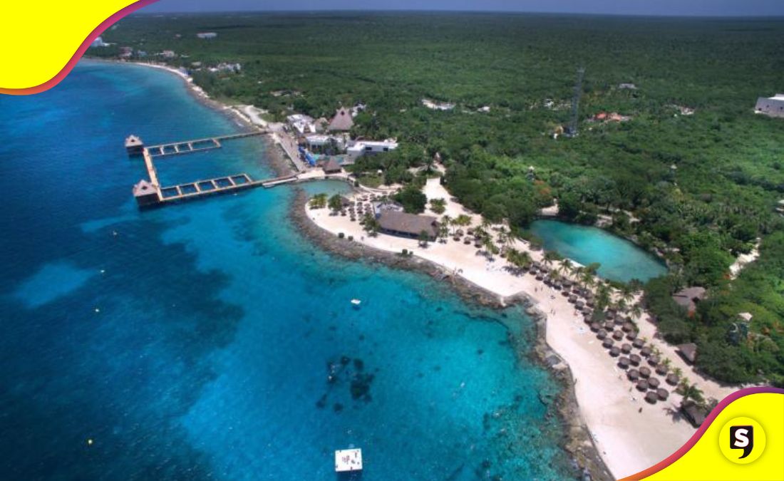 Cozumel selva virgen
