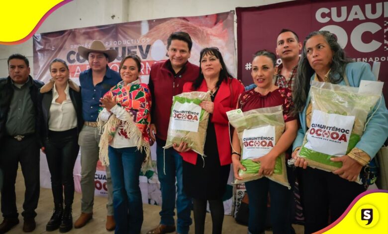 Cuauhtémoc Ochoa Huevos Firme
