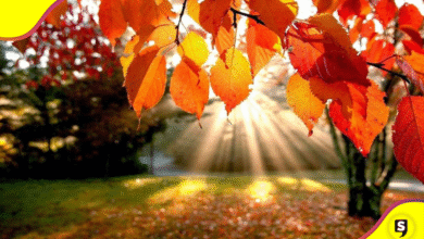 Equinoccio de otoño 2025 cuerpo