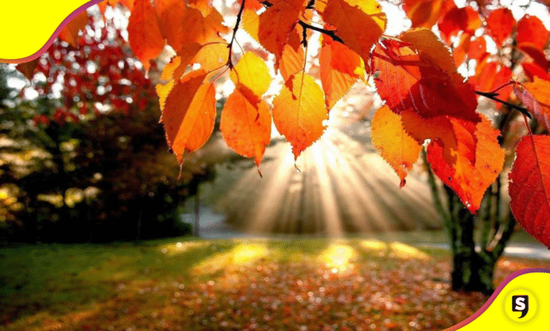 Equinoccio de otoño 2025 cuerpo