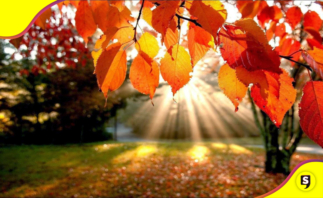 Equinoccio de otoño 2025 cuerpo