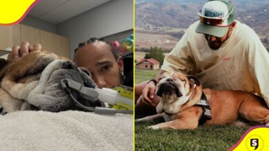 Lewis Hamilton Roscoe