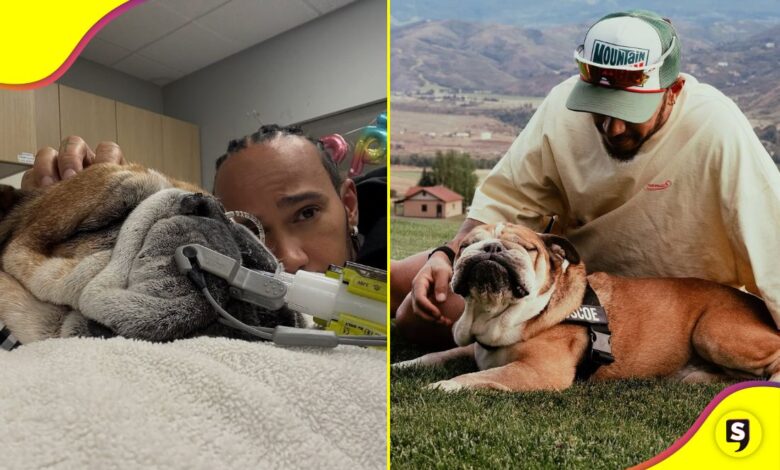 Lewis Hamilton Roscoe