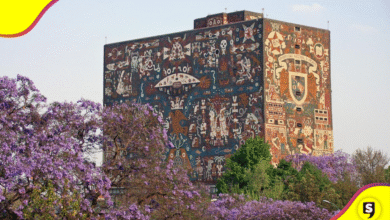 UNAM 115 años