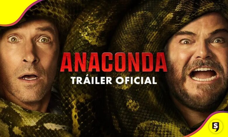 comedia Anaconda