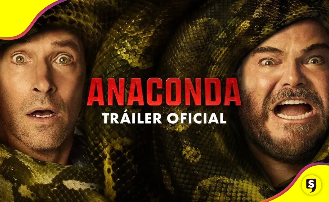 comedia Anaconda